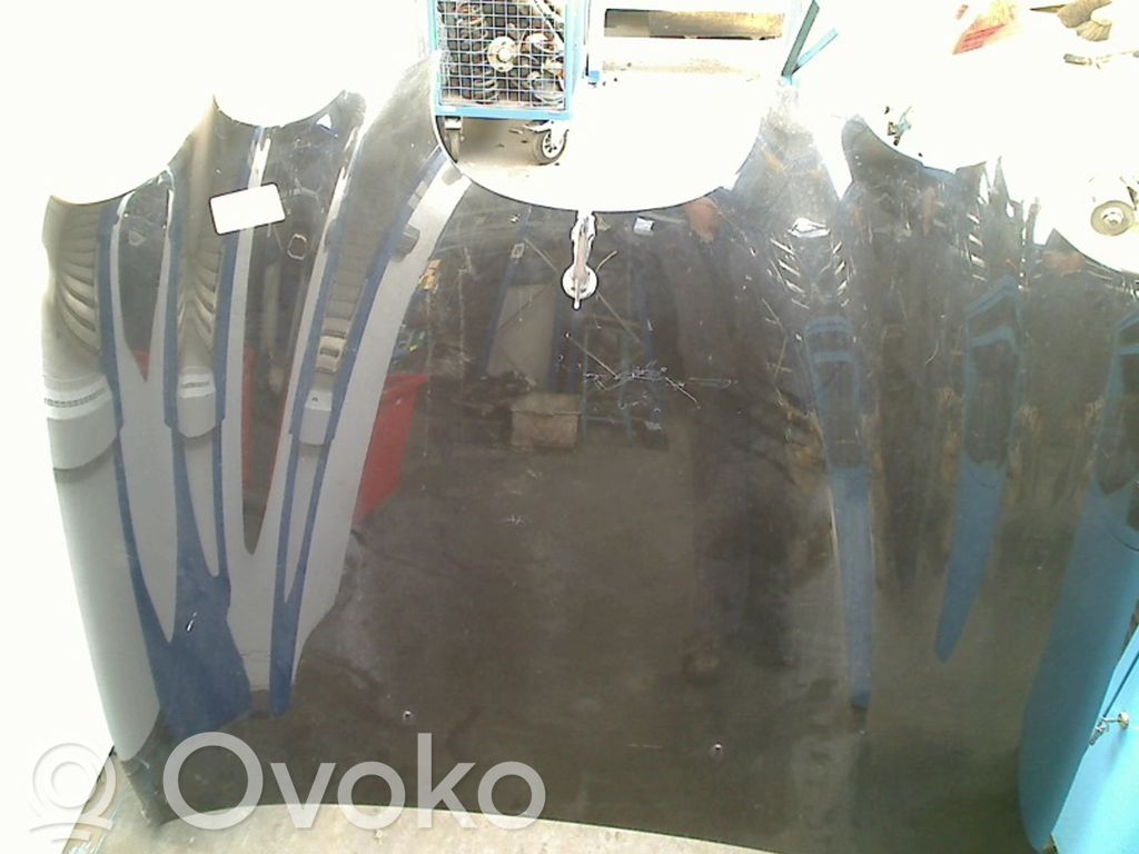 Motorhaube