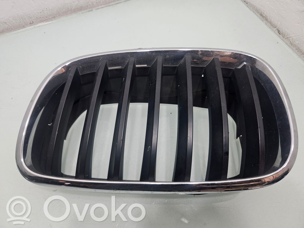 BMW X5 E70 Front bumper upper radiator grill 
