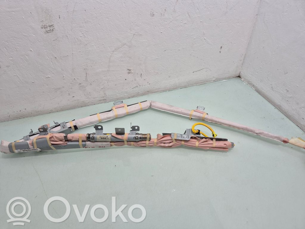 Airbag del techo   A10109A4183