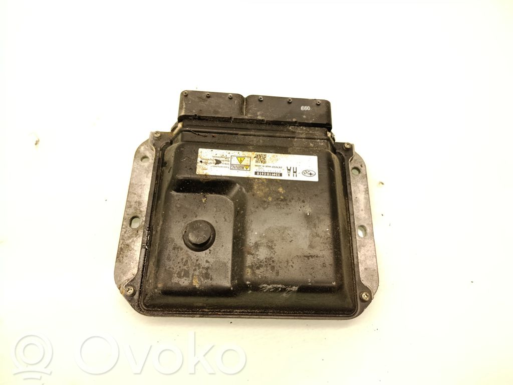 Subaru Outback Engine control unit/module 