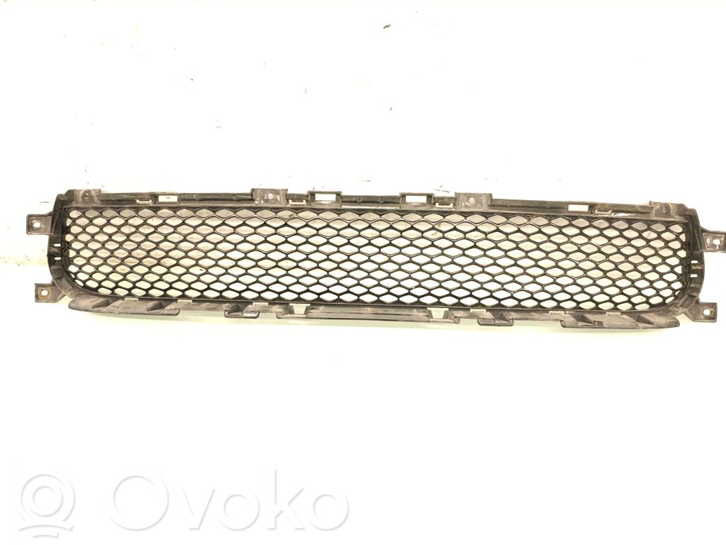 Front bumper lower grill