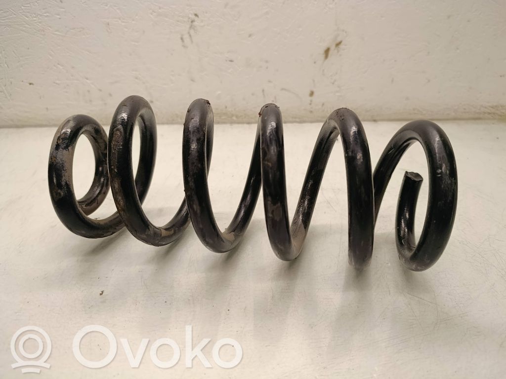 Front coil spring