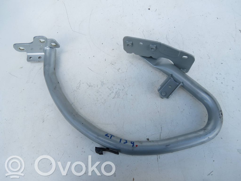 Tailgate/trunk/boot hinge   31349169