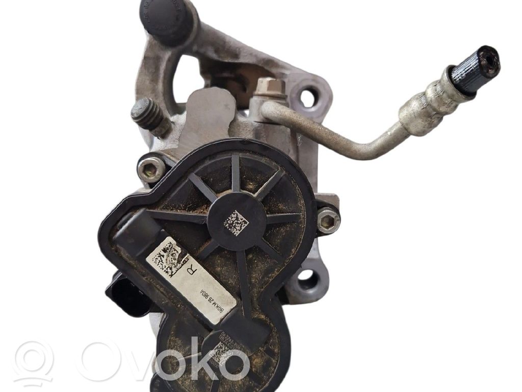 Takajarrusatula   BGYM2661X