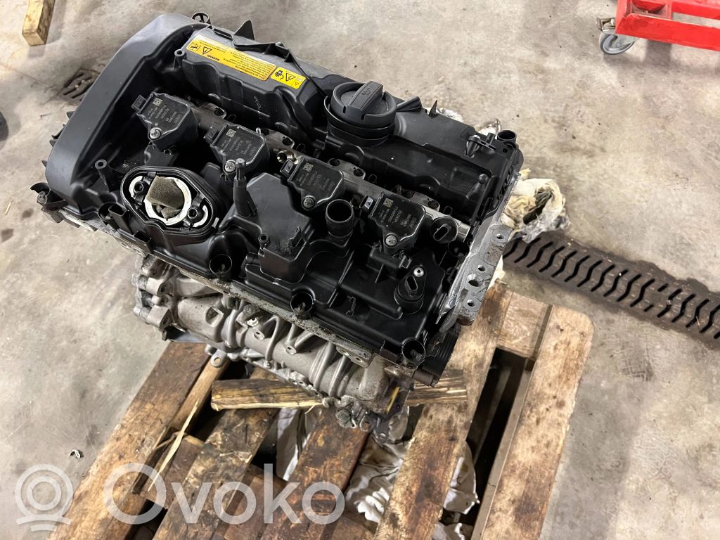 BMW X1 F48 F49 Variklis 