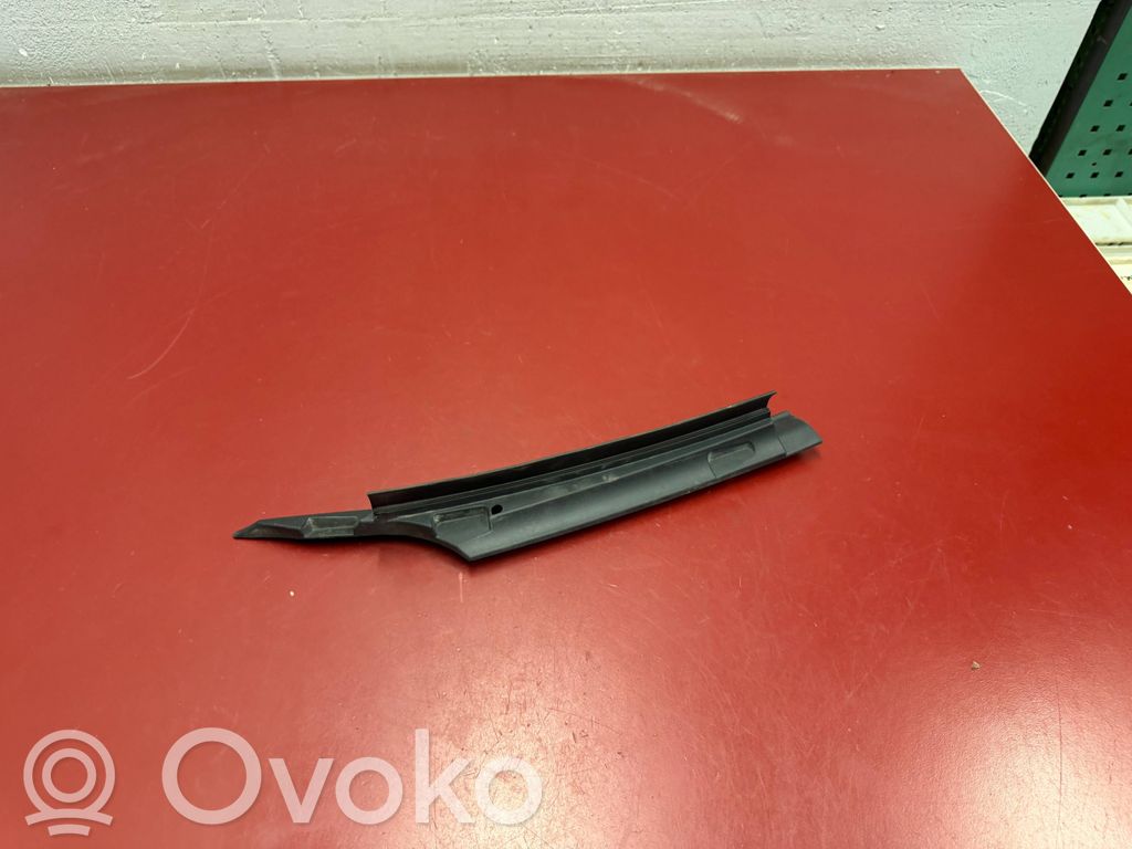 Tesla Model 3 Valytuvų apdaila (-os) 