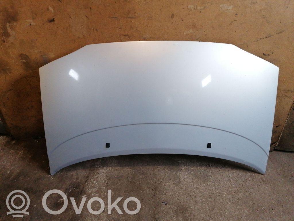 Engine bonnet/hood
