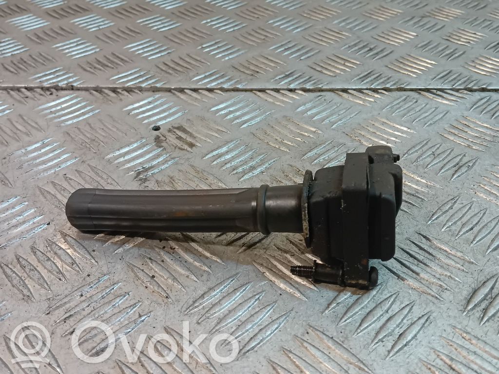 Aukštos įtampos ritė "babyna"   04609,099AF