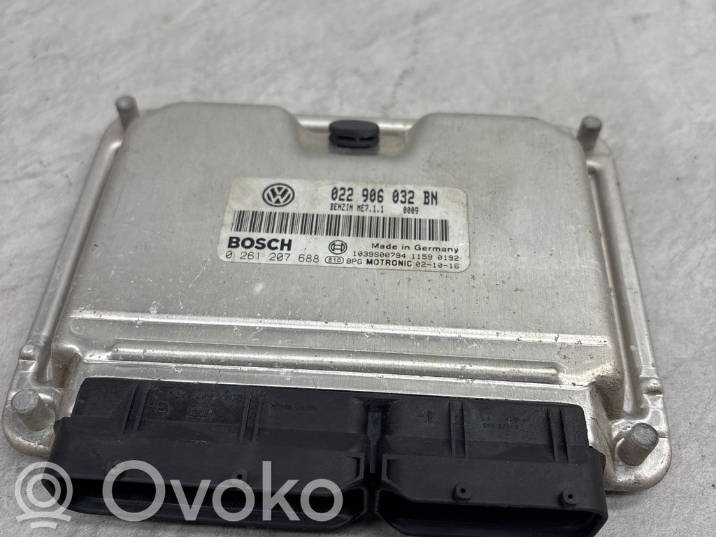 Volkswagen Phaeton Engine control unit/module 