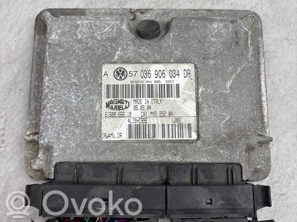 Volkswagen Golf IV Engine control unit/module 