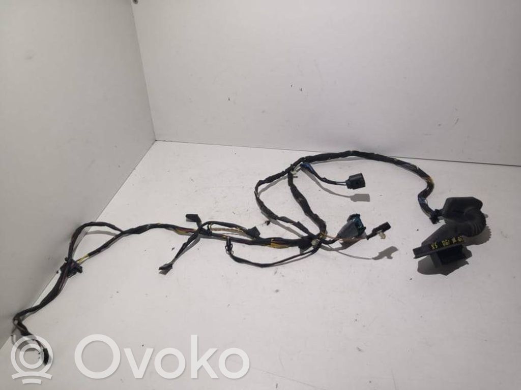 BMW X5 E53 Cablaggio porta posteriore 
