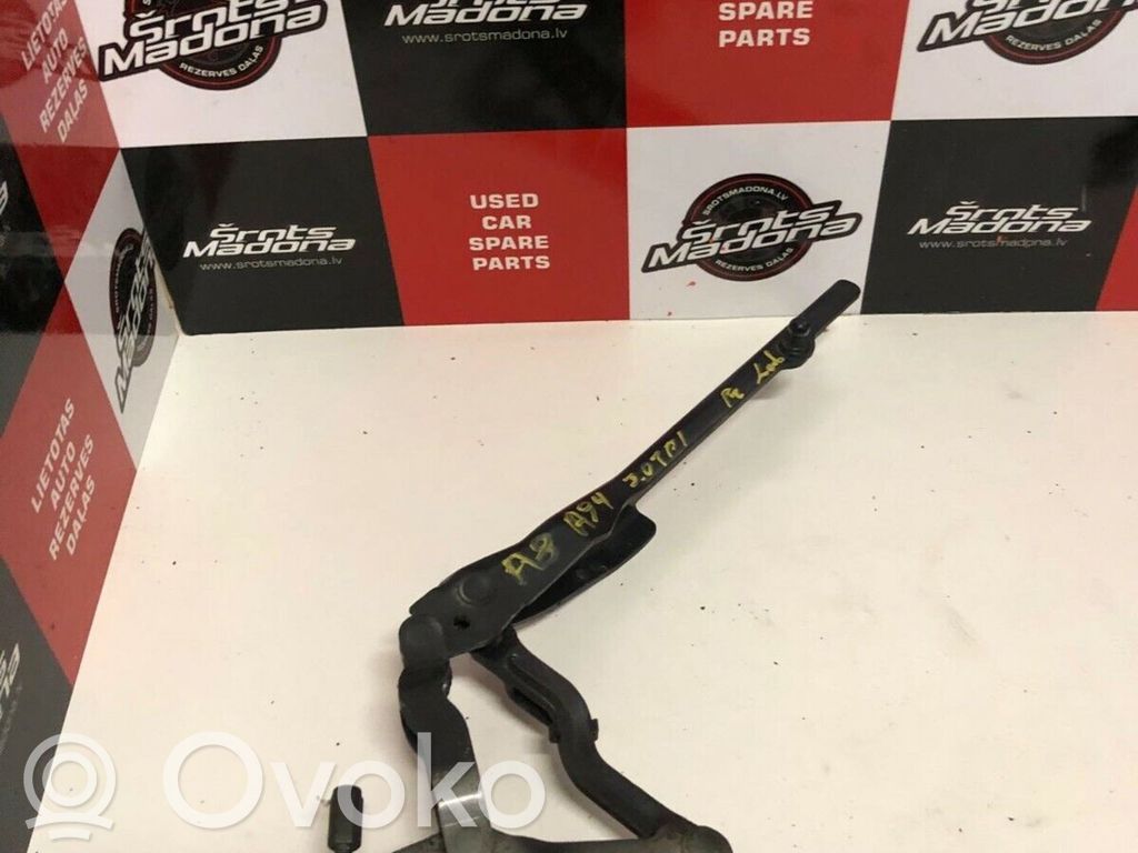 Audi A8 S8 D3 4E Engine bonnet/hood hinges 