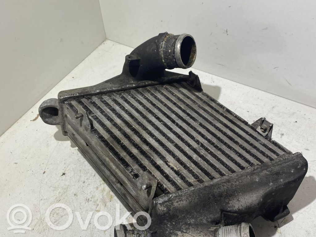 Audi A8 S8 D3 4E Interkūlerio radiatorius 