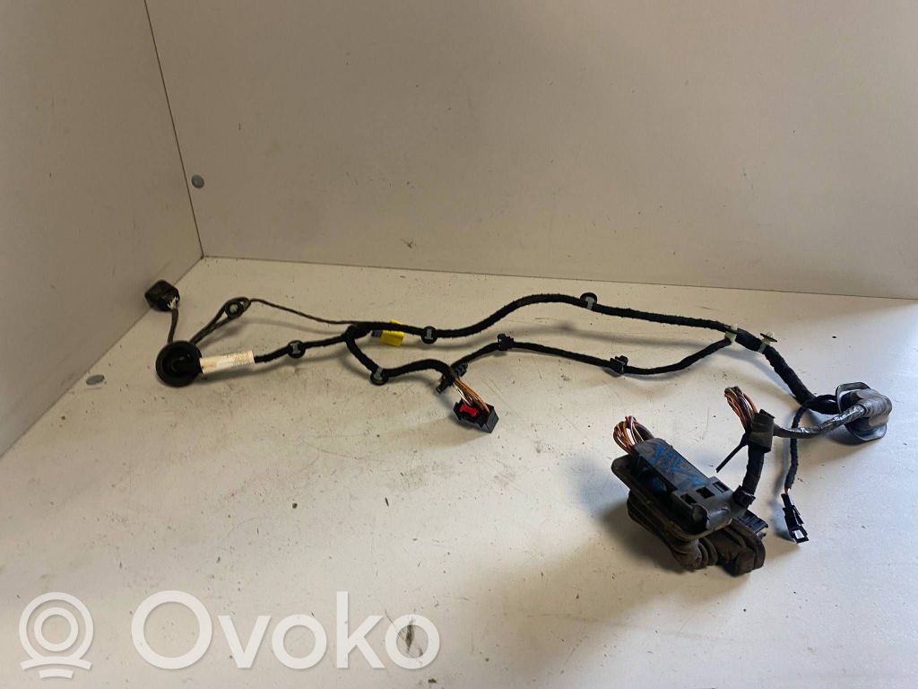 Volkswagen PASSAT B6 Wiązka przewodów drzwi przednich 