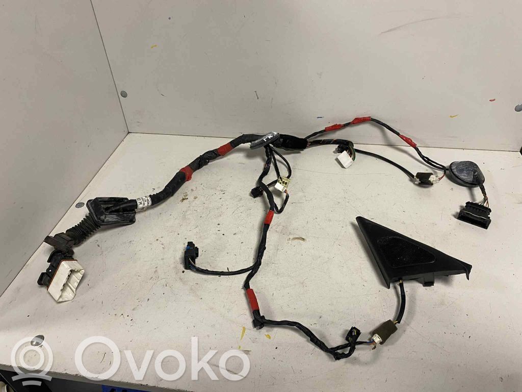 Hyundai Sonata Cableado de puerta delantera 
