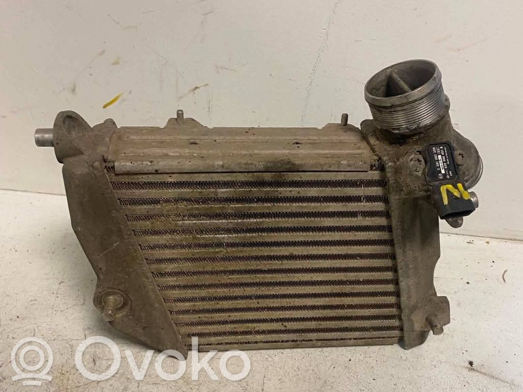 Audi A8 S8 D3 4E Interkūlerio radiatorius 