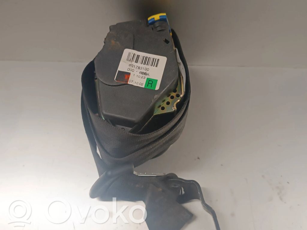Cinturón trasero   601783100