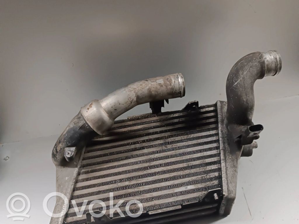 Audi A8 S8 D3 4E Interkūlerio radiatorius 