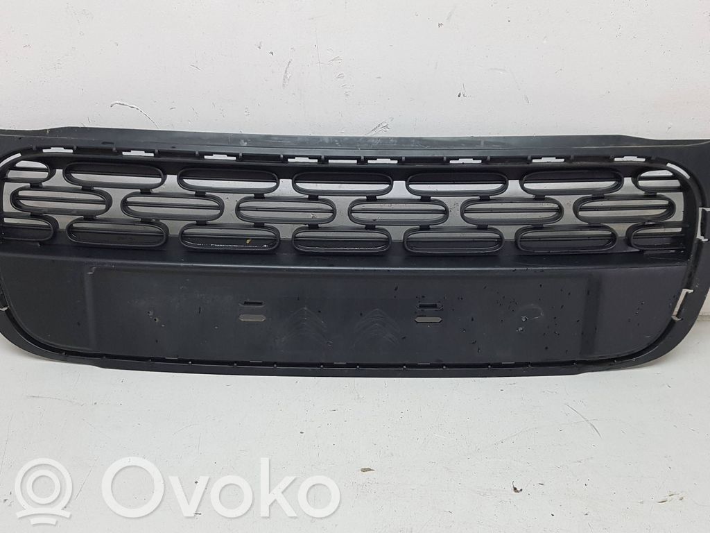 Atrapa chłodnicy / Grill   32002011902410,0241100100,9812061877