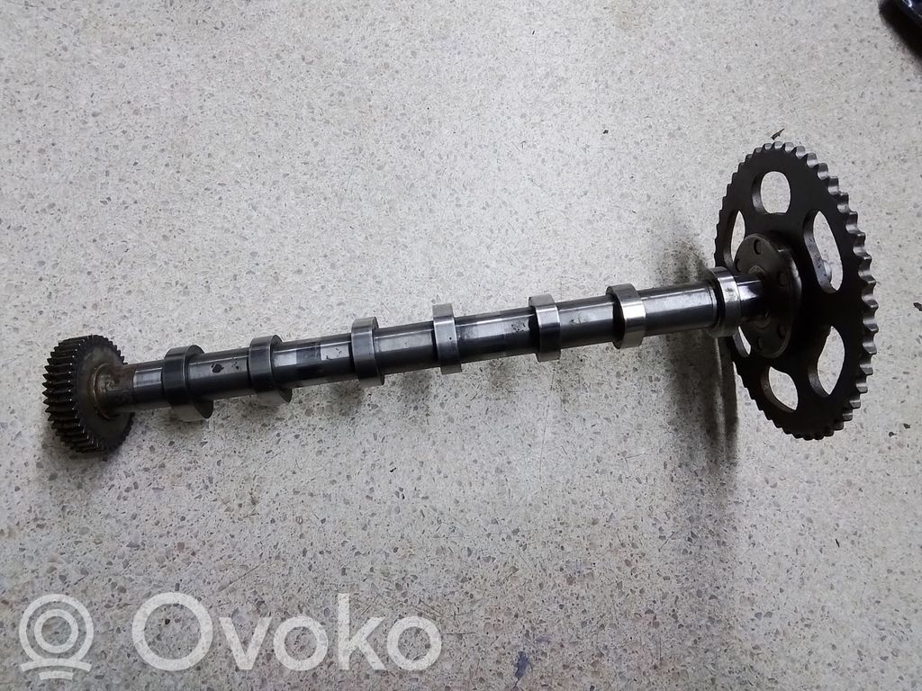 Nockenwelle   059109116A,059021FE,0238999