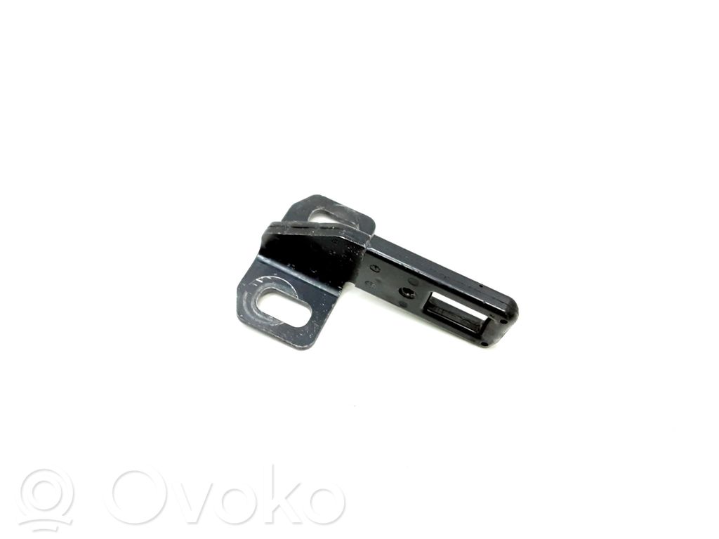 Loading door lock loop/hook striker   7149629