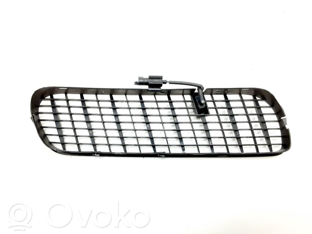 BMW X5 E53 Grille calandre de capot 