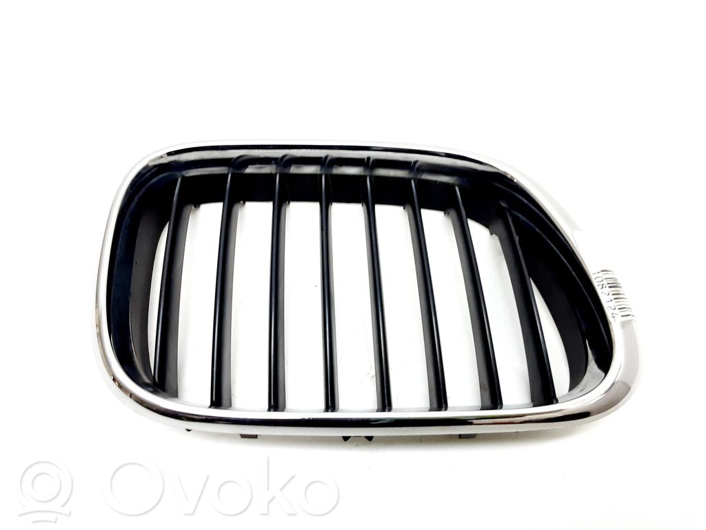 BMW X5 E53 Front grill 