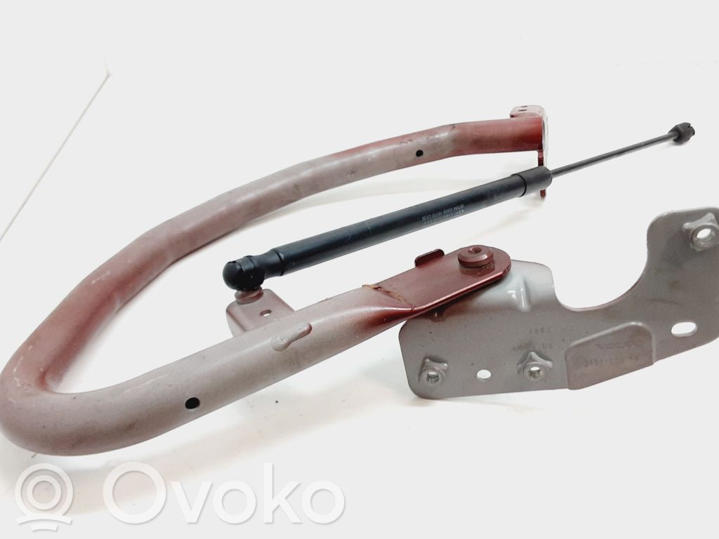 Volvo S60 Tailgate/trunk/boot hinge 