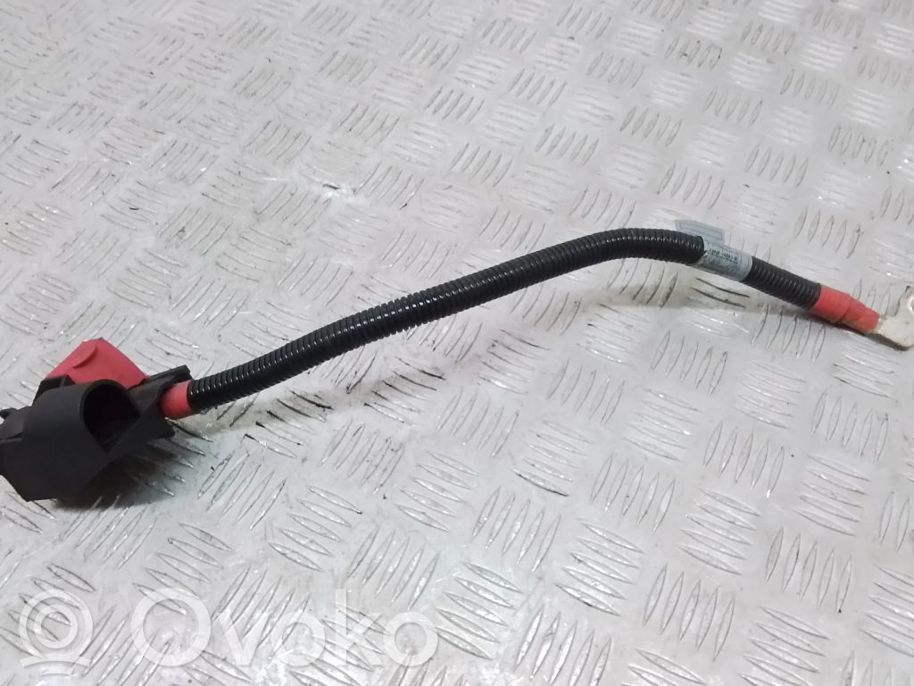 BMW X5 E70 Pliusinis laidas (akumuliatoriaus) 