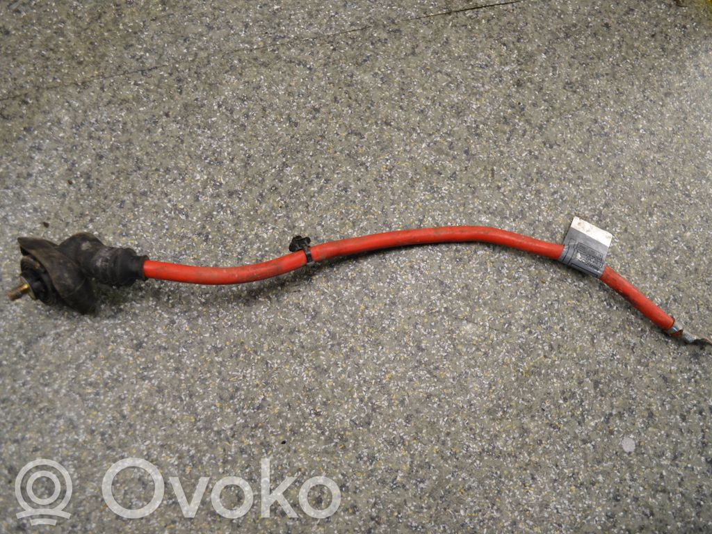 Pluskabel Batterie   6910541,BM2D146114