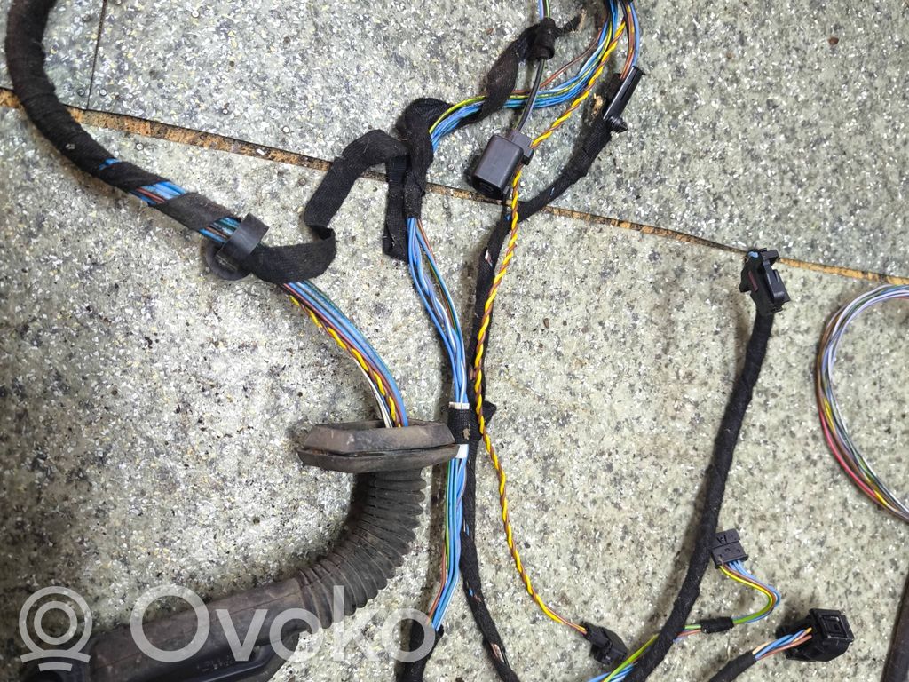 BMW 3 E46 Cableado de puerta delantera 