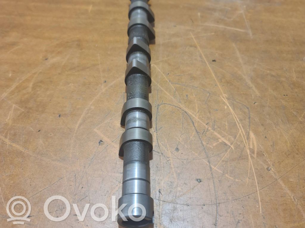Sadales vārpsta   106870