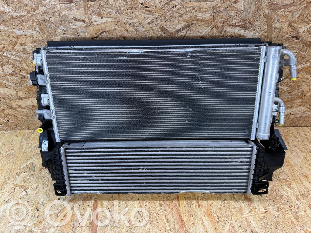 BMW 1 F40 Radiatorių komplektas 