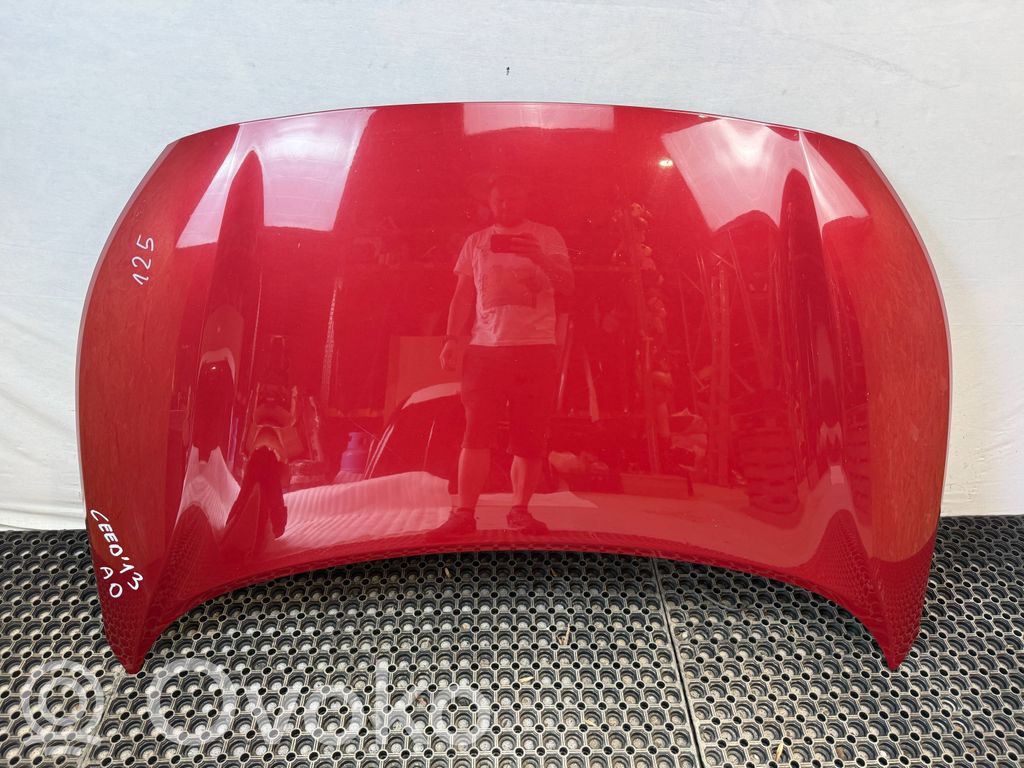 Motorhaube