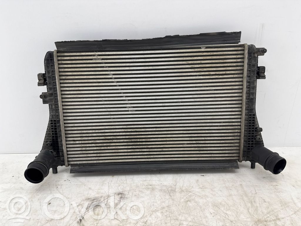 Volkswagen PASSAT B6 Interkūlerio radiatorius 