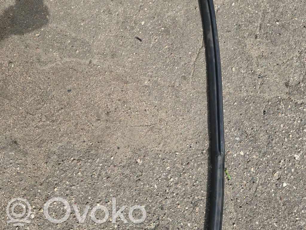 Volkswagen PASSAT CC Guarnizione in gomma finestrino/vetro portiera posteriore 