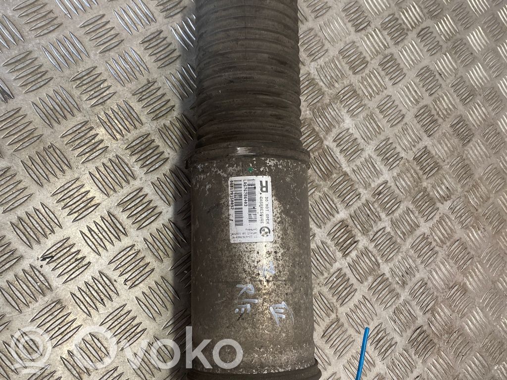 BMW 7 E65 E66 Aizmugurē amortizators (pneimatiskā / hidrauliskā balstiekārta) 