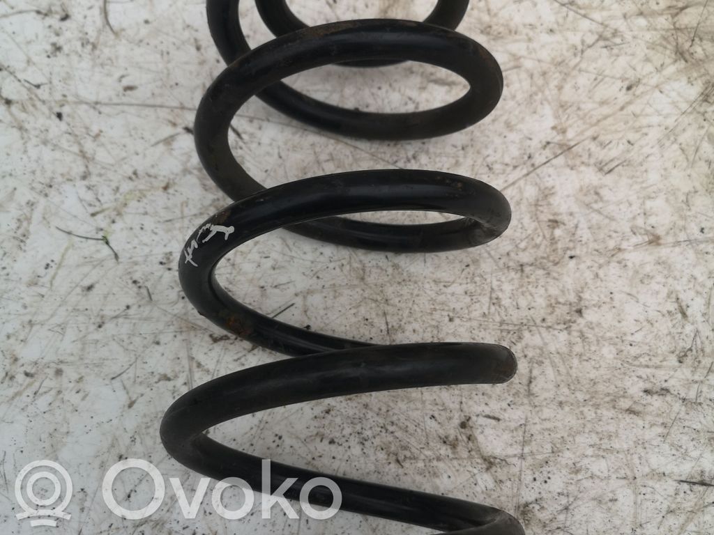 Rear coil spring