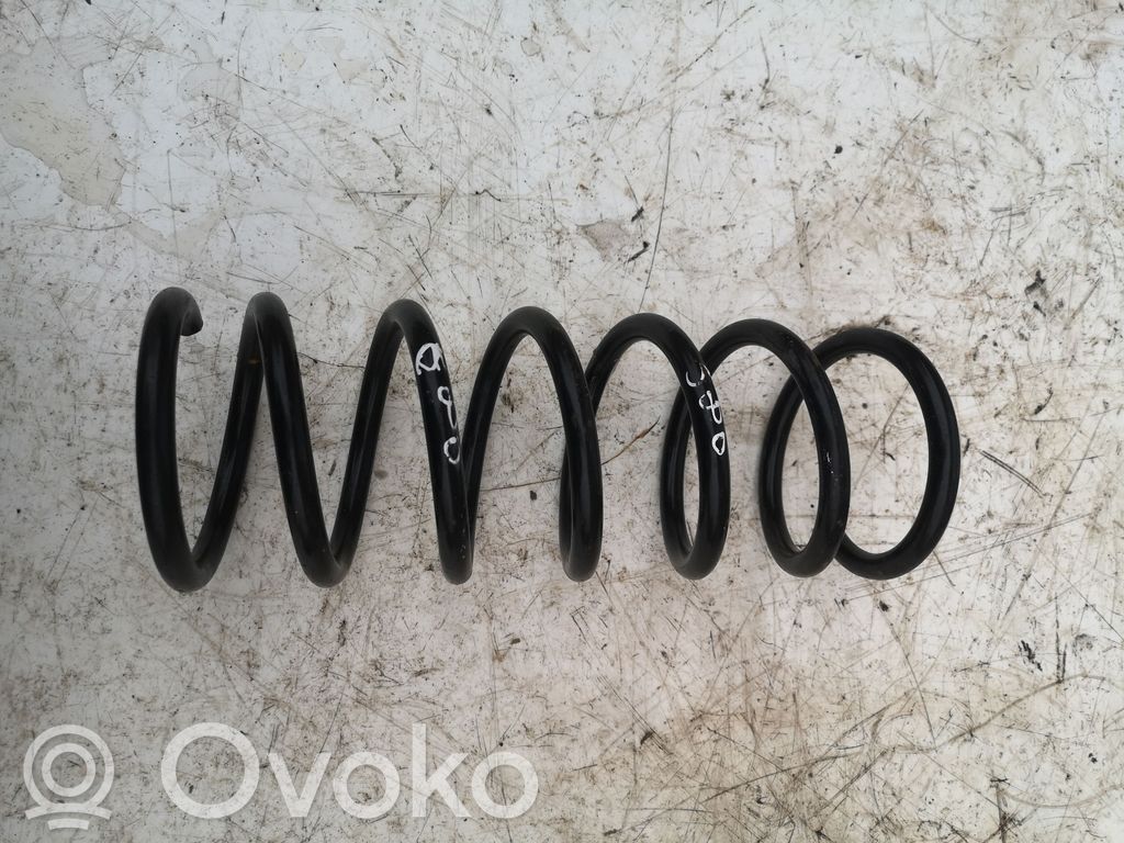 Rear coil spring