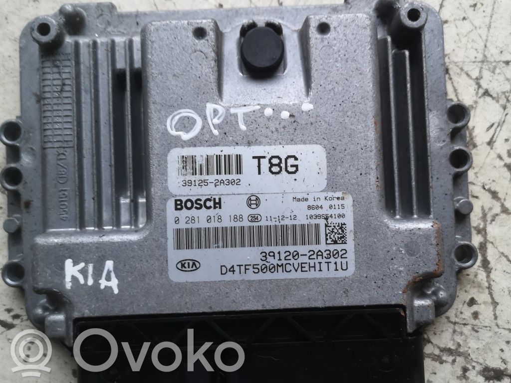 KIA Optima Engine control unit/module 