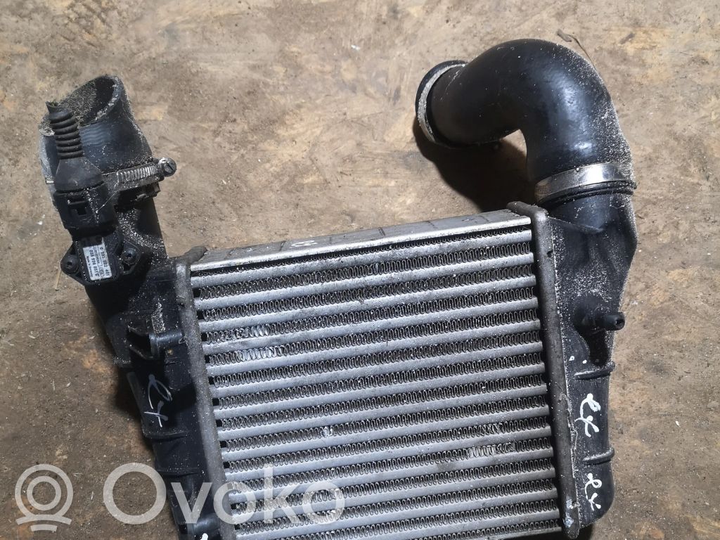 Intercooler radiator   8E0145805AA