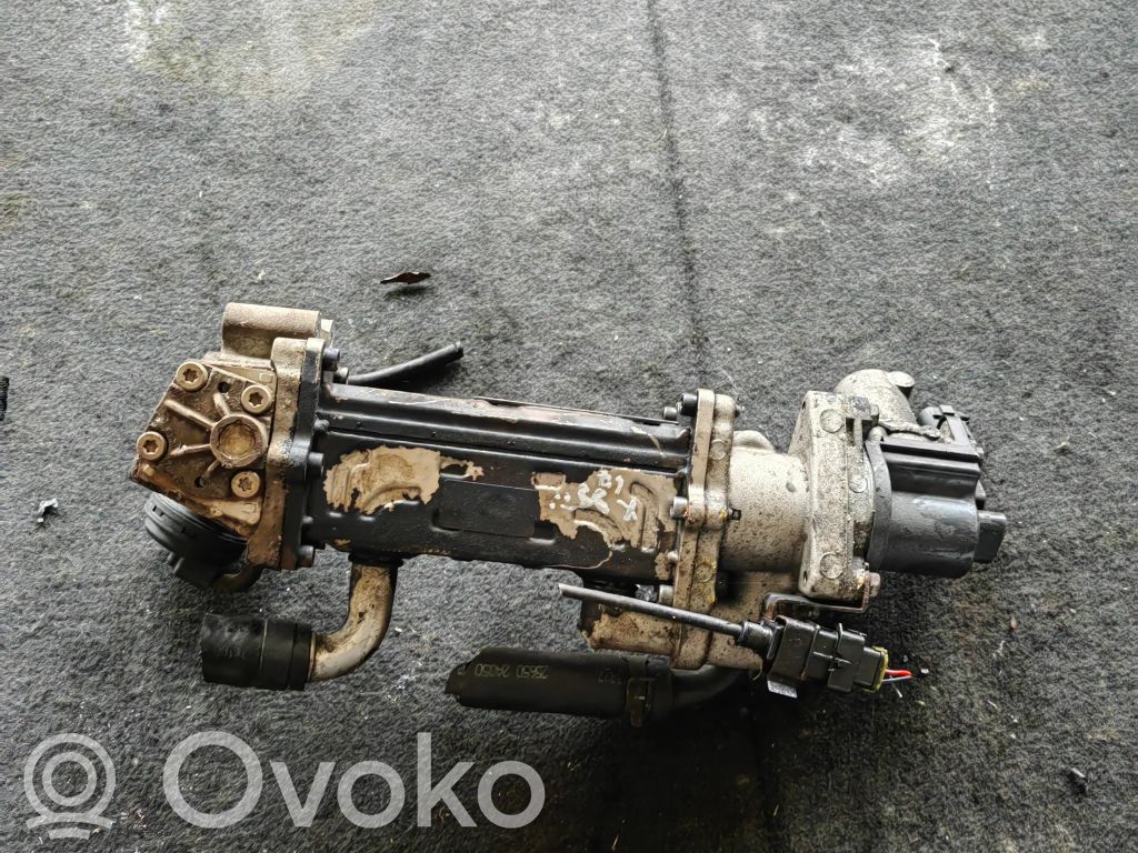Chłodnica spalin EGR   284162F300