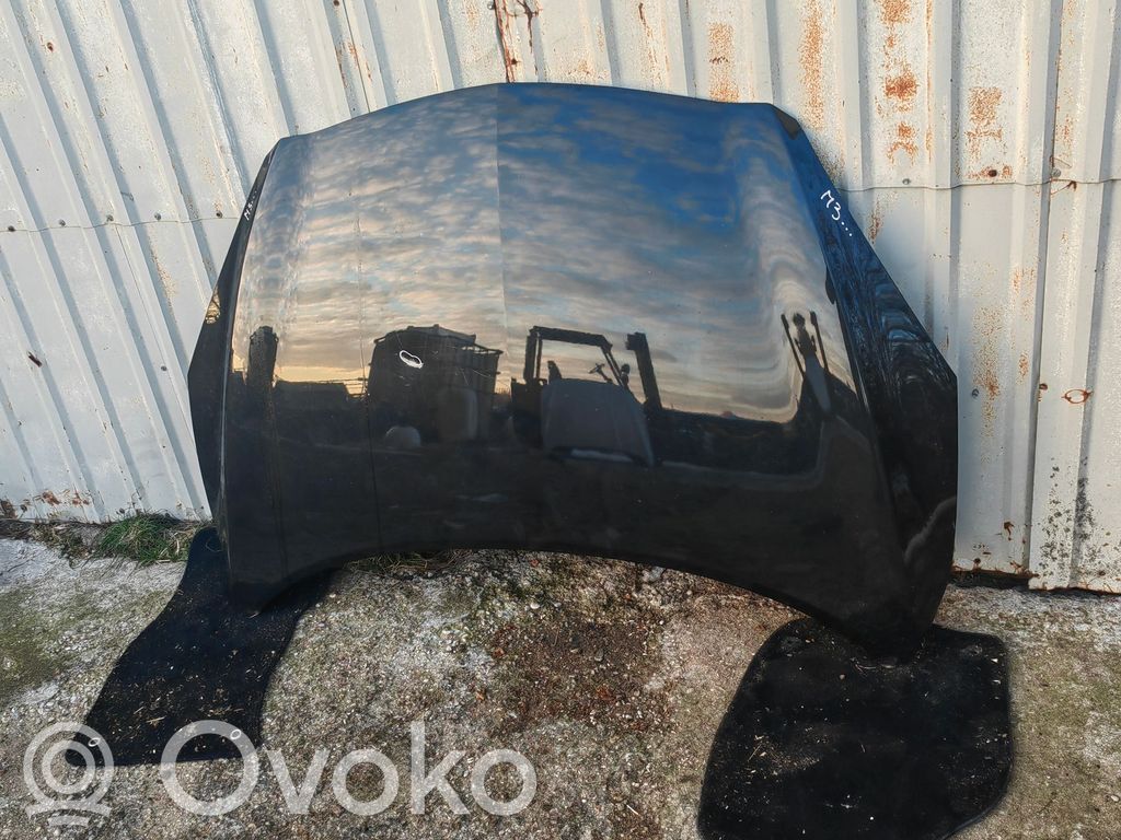 Engine bonnet/hood