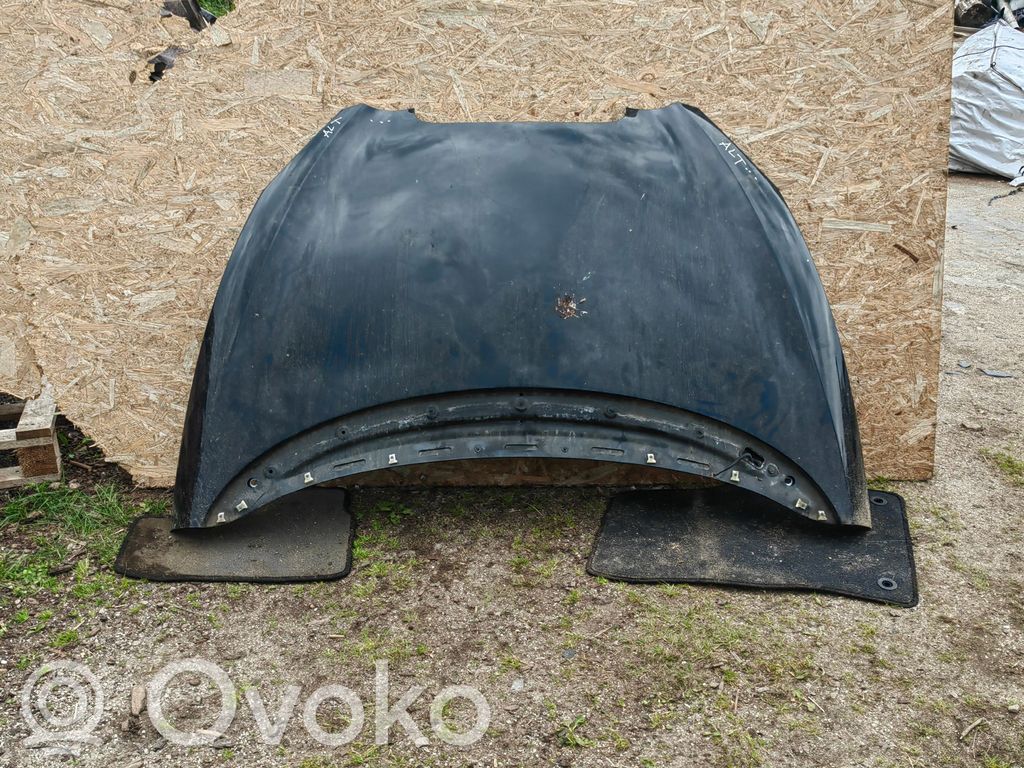Dzinēja pārsegs (vāks)