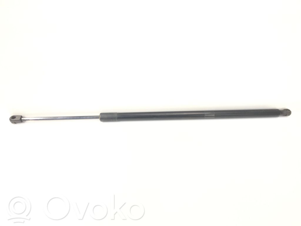 Chrysler Pacifica Tailgate/trunk strut/damper 