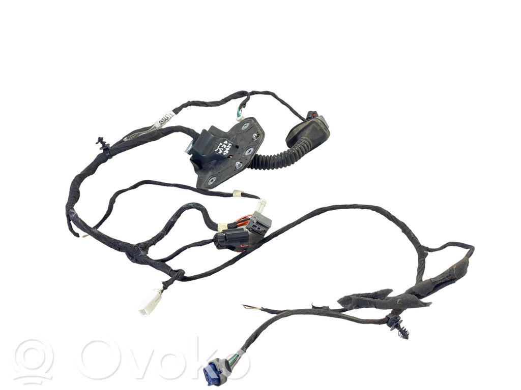 Dodge Charger Cableado de puerta trasera 
