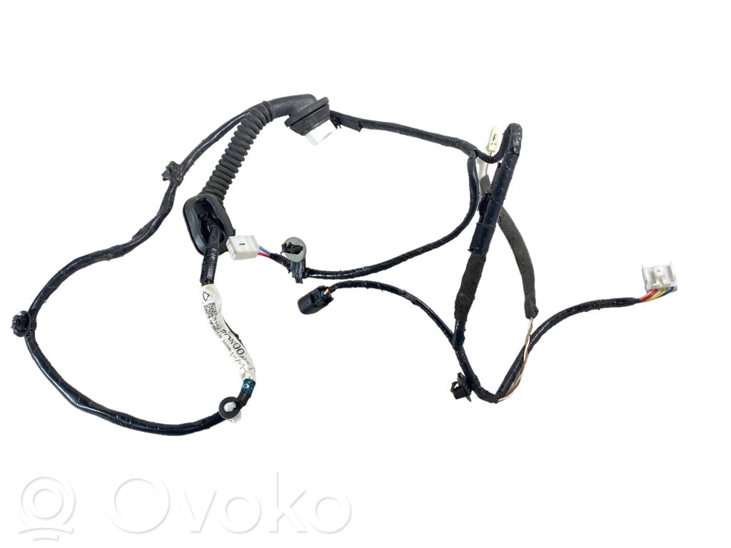 Subaru Outback (BT) Cableado de puerta trasera 