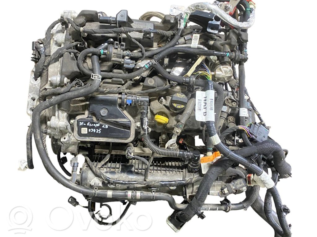 Ford Escape IV Engine 