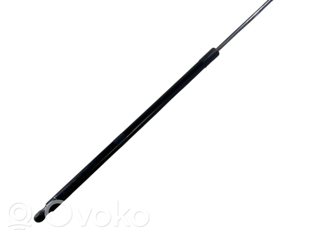 Chrysler Pacifica Tailgate/trunk strut/damper 