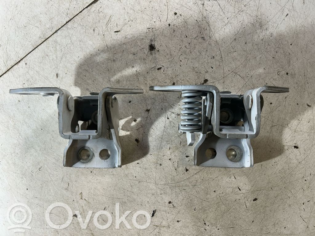 Dodge Challenger Front door hinges set 